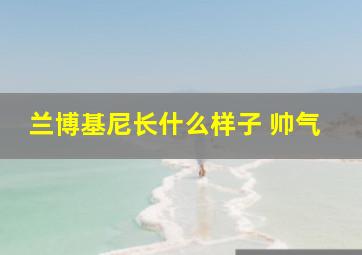 兰博基尼长什么样子 帅气